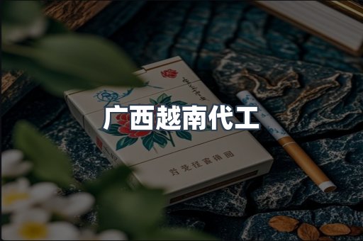 广西越南代工
